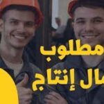 التقديم علي وظيفة اوليكس سوهاج في  الإسكندرية, مصر